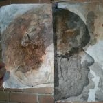 Profil, encre, huile, couture, sur "peau de papier", 2017